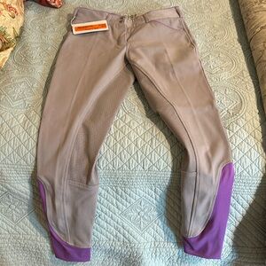 New Grey with purple riding britches